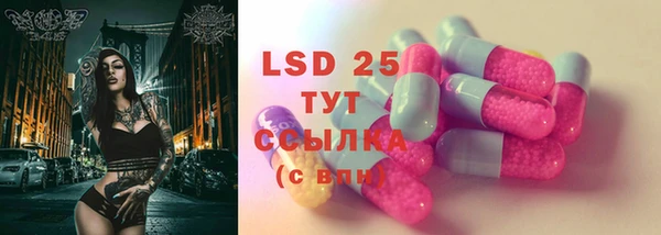 ПСИЛОЦИБИНОВЫЕ ГРИБЫ Баксан