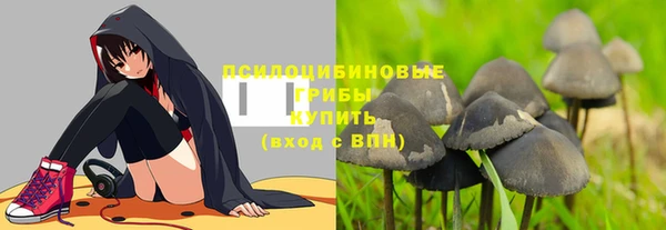 ПСИЛОЦИБИНОВЫЕ ГРИБЫ Баксан