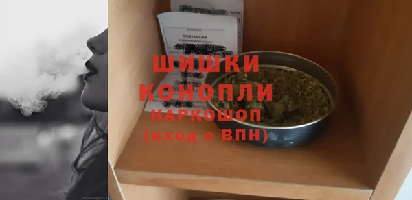 прущий лед Рославль